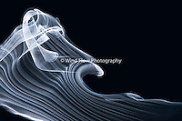 Waves In Blue